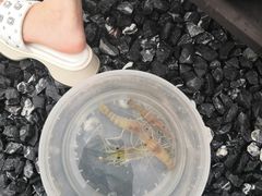 -DGE季风钓虾营地·团建·聚会
