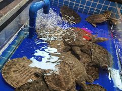 -黑金·寻焰自助百汇·烤肉·火锅(中街店)