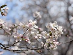 -白塘生态植物园