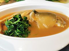 -沈灶河豚宴·河豚融合餐厅(汉中路店)