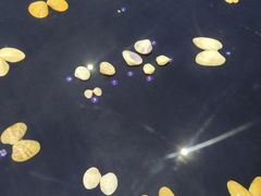 -青岛贝壳博物馆