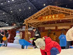 -宁波冰雪大世界(北仑区)