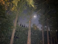 -前小桔亲子创意农场·草莓采摘·露营烧烤