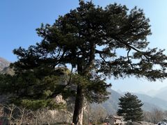 -秦岭终南山世界地质公园翠华山景区
