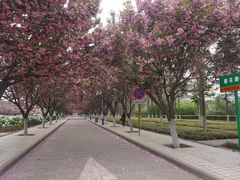 -西北农林科技大学(北校区)
