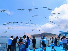 -海驴岛(荣成市)