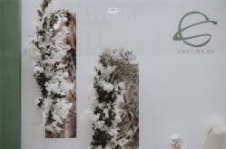 -美诺婚礼策划·求婚策划