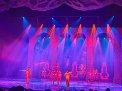 -勐巴拉娜西大剧院