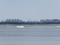 -观潮胜地公园