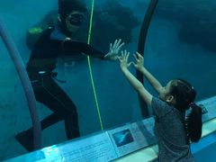 -苏州海洋馆
