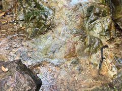 -南海湾森林生态园