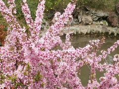 android_upload_pic-上海虹桥迎宾馆