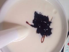 Anne猫窝咖啡屋-Anne猫窝咖啡屋