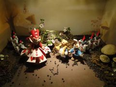 -济州岛泰迪熊博物馆