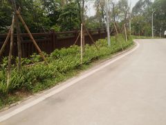 -天鹿湖森林公园
