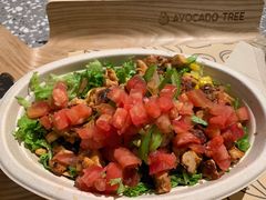 -油梨树AVOCADO TREE(嘉里中心店)