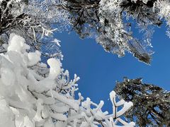 -瓦屋山景区