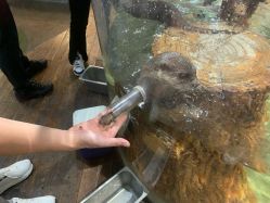 -Zoolung Zoolung动物主题公园(海信广场店)