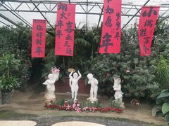 -晶宝温泉农庄