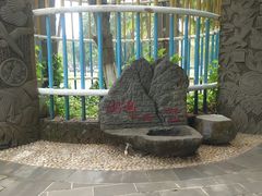 -万绿园