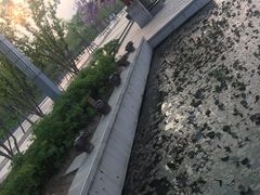 -红莲湖