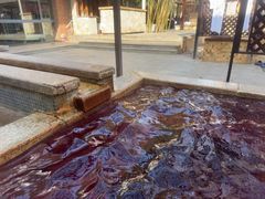 -春晖园度假酒店温泉