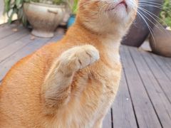 -默迹咖啡馆
