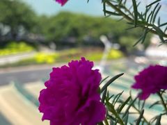 -鹭江宾馆·观海餐厅