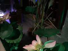 -韵秋荷(宝山龙湖天街店)