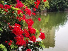 -OLD TREE老树咖啡·西餐厅(台山人工湖店)