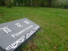 iphone_upload_pic-广州珠江公园