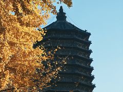 -玲珑塔公园