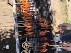 -白鹭湾湿地公园