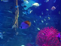 -沈阳海洋探索中心