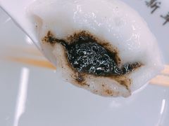 -朱新年·苏式汤团·面点(北寺塔店)