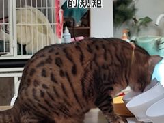 -小时光咖啡馆(北锣鼓巷店)