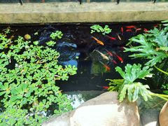 -新竹里馆·花园餐厅(兴苑路店)