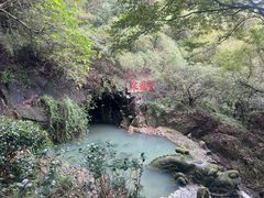 -宁波九龙湖开元度假村