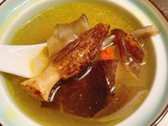 羊肚菌炖裙边-徽珍源(龙茗路店)
