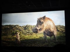 -CMC大光明影城(莲花店)