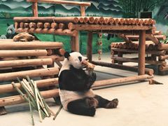 -柳州市动物园
