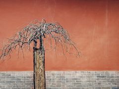 -南阳卧龙岗武侯祠