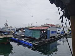 -蓝湾碧波·老字号·疍家非遗海上餐厅