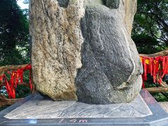 -广州市帽峰山景区