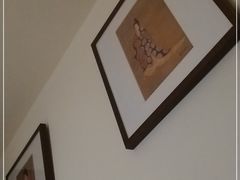 -普陀山雷迪森庄园