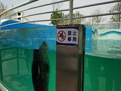 -北戴河圣蓝海洋公园