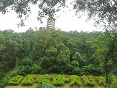 -深圳国际园林花卉博览园