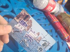 -长岛万鸟岛