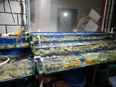 -芦潮港集贸市场