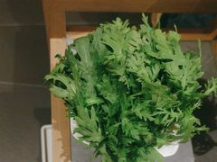 -额尔敦传统涮(体育场店)